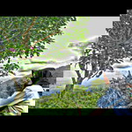 Emi Amelia profile icon