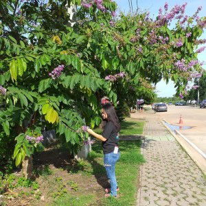 เมย์ สวยยย profile icon