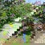 เมย์ สวยยย profile icon