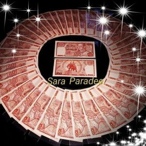 Sara Paradee profile icon