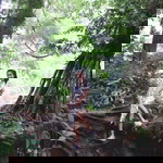 Namtha Kwankangplu profile icon