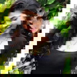 Kessiri Sudsai profile icon