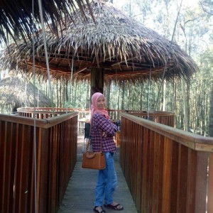 dina arum purnama sari profile icon