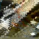 Putra Prancies profile icon