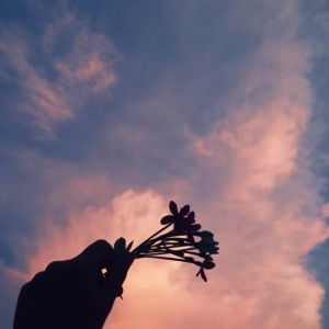 Apriliyanti Harun profile icon