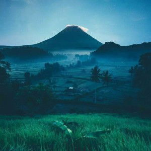 Dedy Dedy profile icon