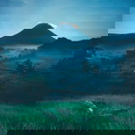 Dedy Dedy profile icon