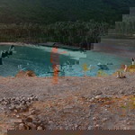 Thang Tran profile icon