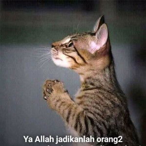 Bul Bul profile icon