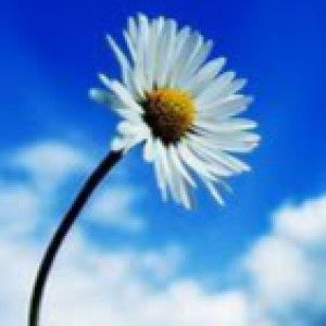 Ria Rahayu profile icon