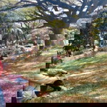 Yanah Astari profile icon