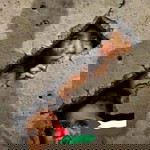 Kaka Adhe Samary profile icon