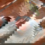 สมฤทัย พูลเกษ profile icon