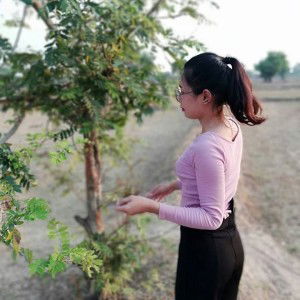 Khanittha Suksanit profile icon