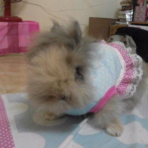 Thiwalee Kankaew profile icon