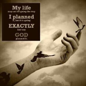 GNej DCruz profile icon