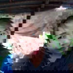 ปีโป้ กะแม่เตย profile icon