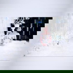 Palaloy Ploy profile icon