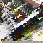 Mint MiNt Chayaporn profile icon