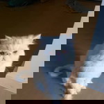 แฮปปี้ ทาม profile icon