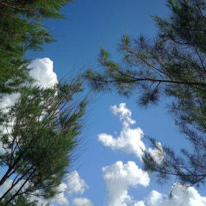 Regi Restiana profile icon