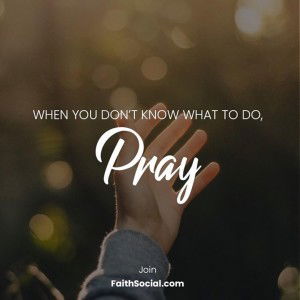 Prinecs Prinecs profile icon