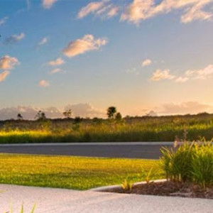 winda liu profile icon