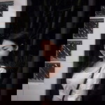 Phusanisa Homwan profile icon