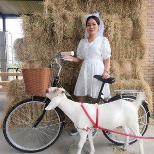 Nong Aunchittha profile icon