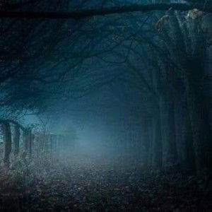 Thinguyen Thuynga profile icon