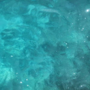 nurul nadia profile icon