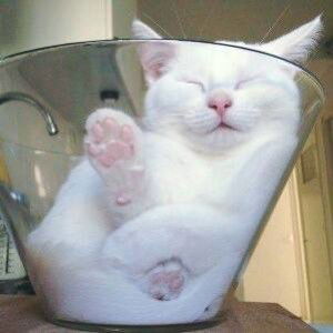 Nina Herliana profile icon