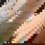 Nurna Sira profile icon