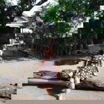 Manaois May Ann profile icon