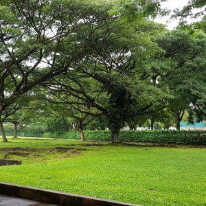 Jon Snow profile icon