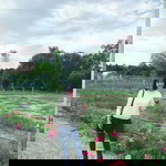 Sãïsy Ashara profile icon