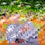 Sherly Anandawidya profile icon