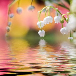 Lệ Thức profile icon