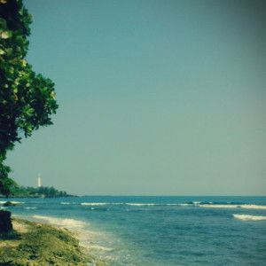 asha miura profile icon