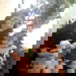 SK Pattra profile icon