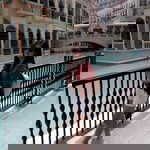 Shine Ferrer profile icon