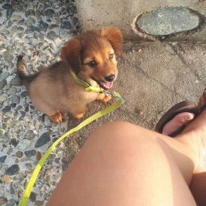 Angelica De Castro Obiano profile icon