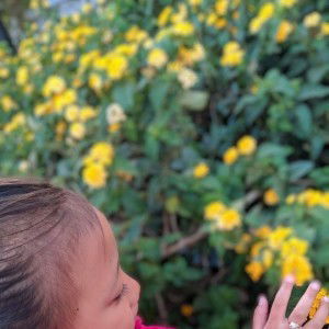 Nining Suharyani profile icon