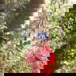 Ai Kartini profile icon