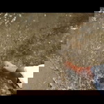 New Wasana profile icon