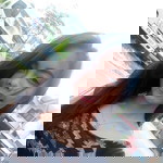 May Armamento Frago profile icon