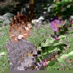CH Dawlada profile icon