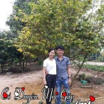 Nguyễn Thành Công profile icon