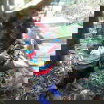 Na Na Go profile icon