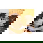 ปุ้ม' ค่ะ profile icon